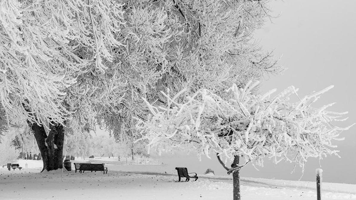 This is what Howard Amon Park looked like at the beginning of this year. If you are feeling stressed over Christmas, go for a walk — even if it is cold outside. Being with nature can make you feel better, according to a column by D. Ryan Schurtz, an assistant professor in the psychology department of Stevenson University