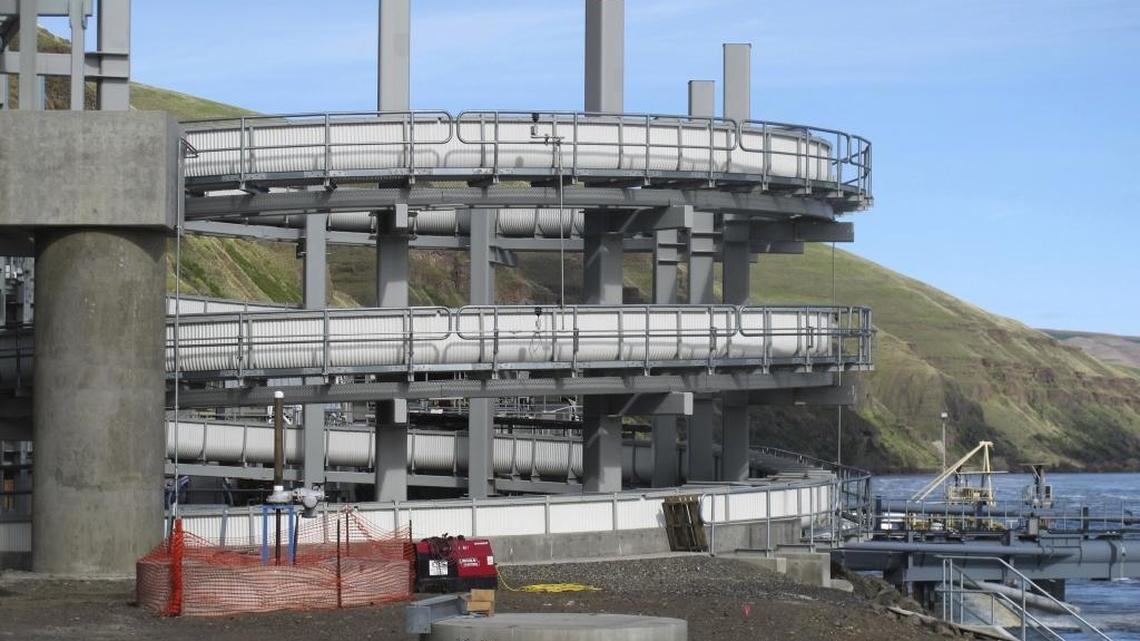 This April 11, 2018 photo shows an elevated fish ladder designed to help migrating fish swim through the Lower Granite Dam on the Snake River near Almota, Wash.