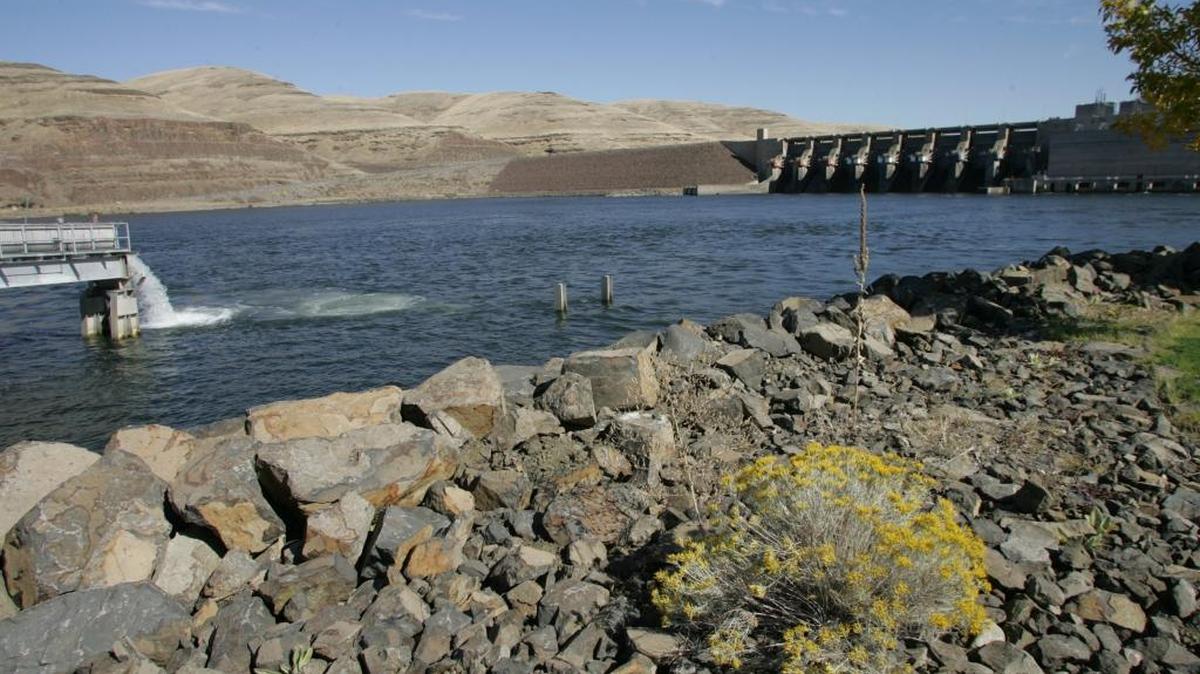 Washington Gov. Jay Inslee is opposed to a bill that has been introduced by Republican U.S. Rep. Cathy McMorris Rodgers that would prevent the breaching of four Snake River dams in eastern Washington state. Pictured is Little Goose Dam.