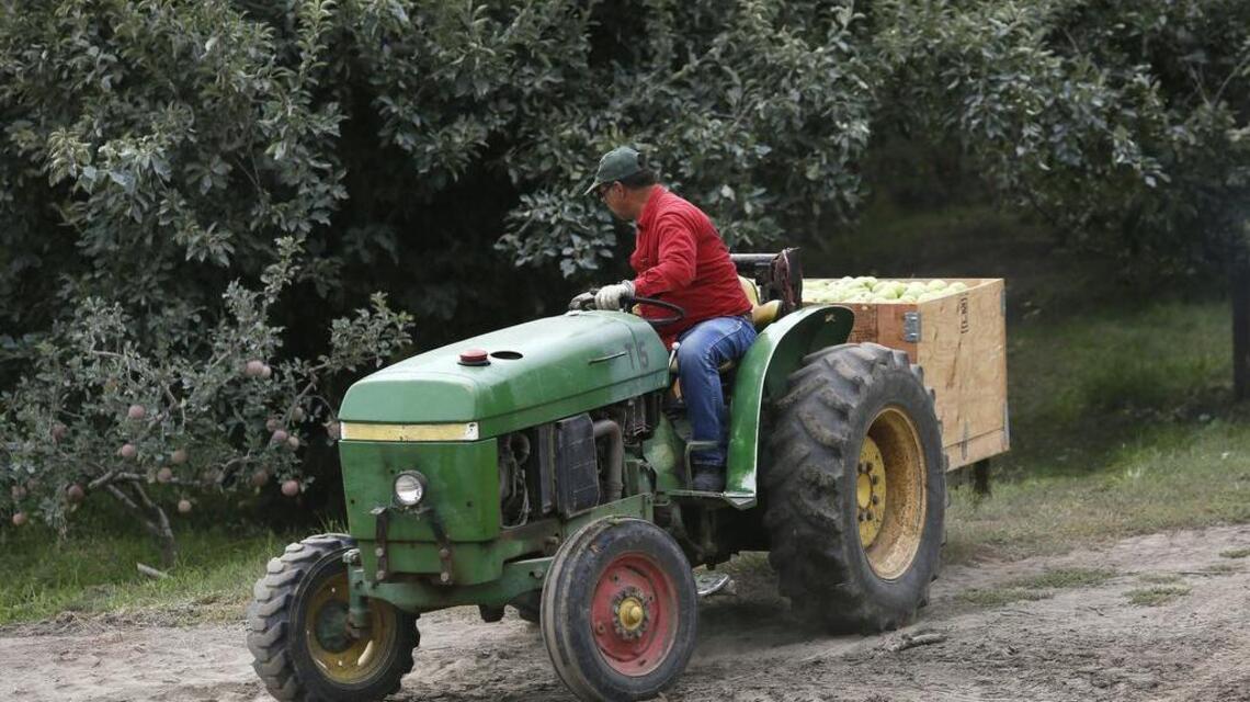 Don’t be fooled, farmland isn’t safe from the WA state capital gains tax | Opinion