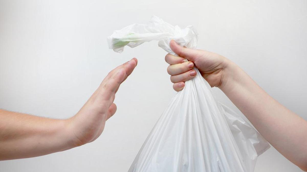 Single-use plastic bags have been banned in Washington, but the implementation of the law has been delayed through next January.