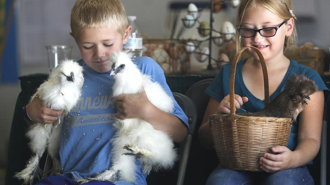 Benton County is rolling back the rents that 4-H and youth groups pay to use the Kennewick fairgrounds. Regional 4-H leaders have not sanctioned an event at the Benton County Fairgrounds for two years.  The rollback doesn't apply to other people who want to rent the facilities.