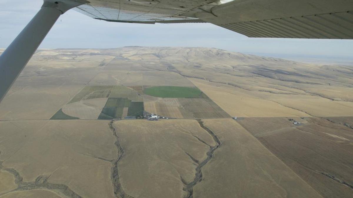 Irrigated farmland stands out from the muted landscape on the hillside leading up to Rattlesnake Mountain north of Prosser in this Herald file photo.