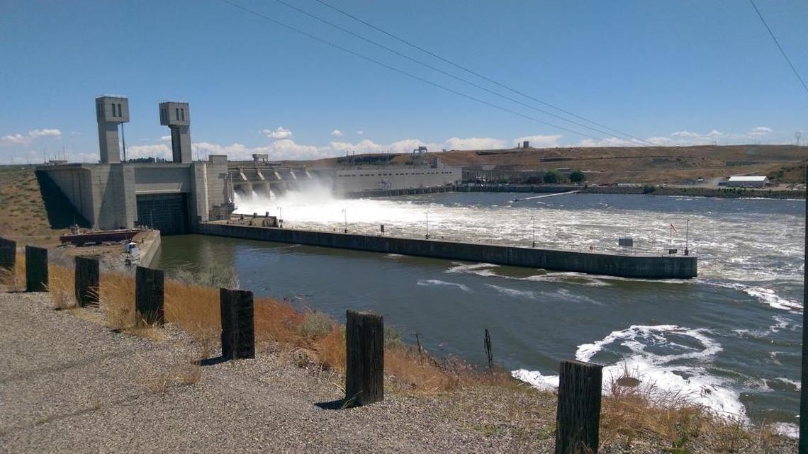 Ice Harbor Dam near Pasco is one of the four Snake River dams that fish advocates say must come down. Members of the Columbia-Snake River Irrigators Assocation say the dams are criticatl for the region’s $1 billion irrigated ag industry.