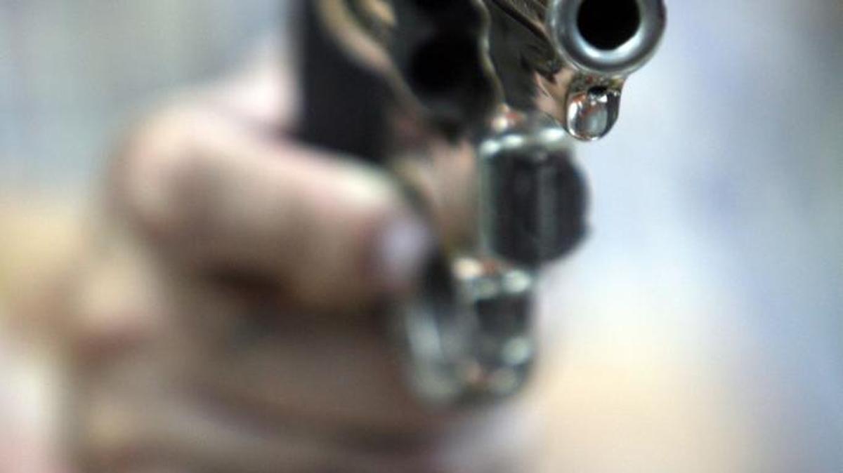Gun
