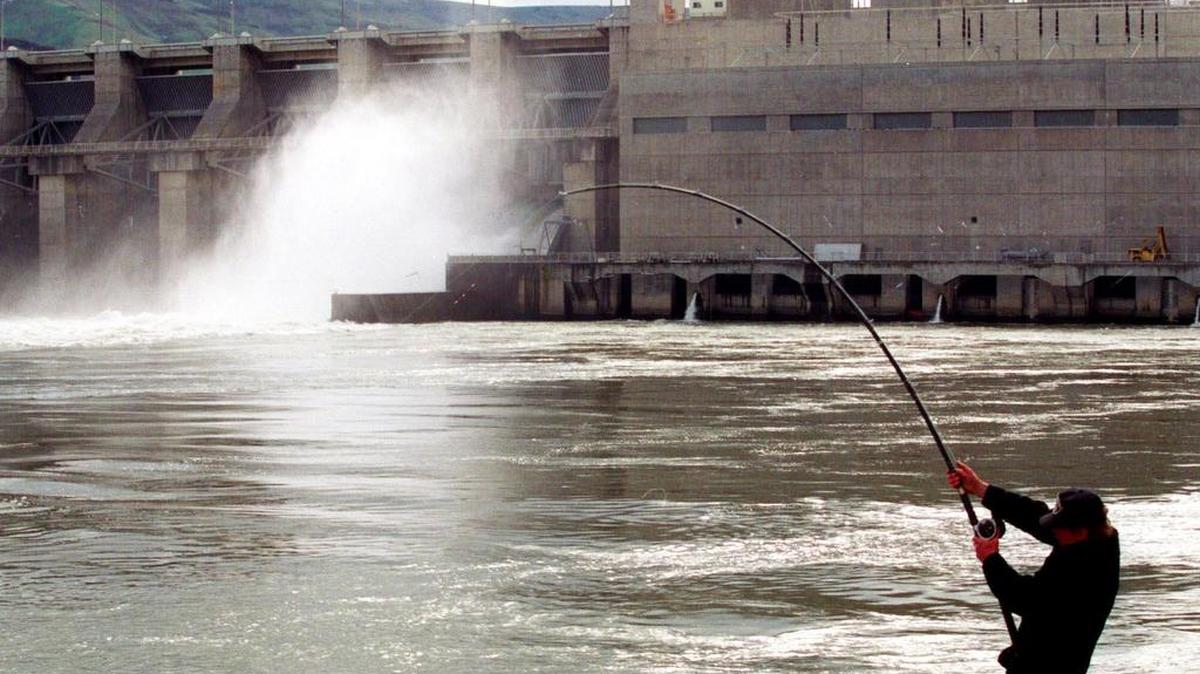 A man hauls in a catch below Lower Granite Dam on the Snake River near Clarkston. Three Republican U.S. House members from Washington state are criticizing Sen. Patty Murray, D-Wash., for opposing their legislation that would prevent the breaching of four dams on the Snake River to help improve endangered salmon runs.
