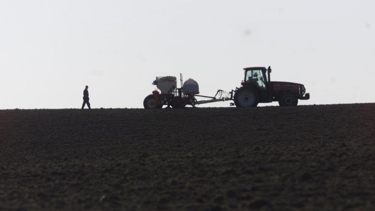 A farm worker walks to his tractor parked in a field just west of Pasco.