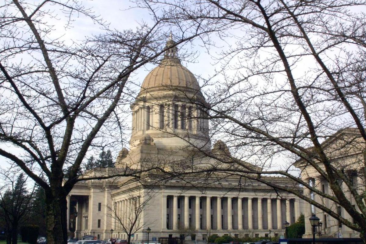 Lisa Thomas of Richland is one of eight people, as of mid-day Tuesday, running for Washington state governor in the 2020 election. The list includes current Gov. Jay Inslee, who is seeking reelection.