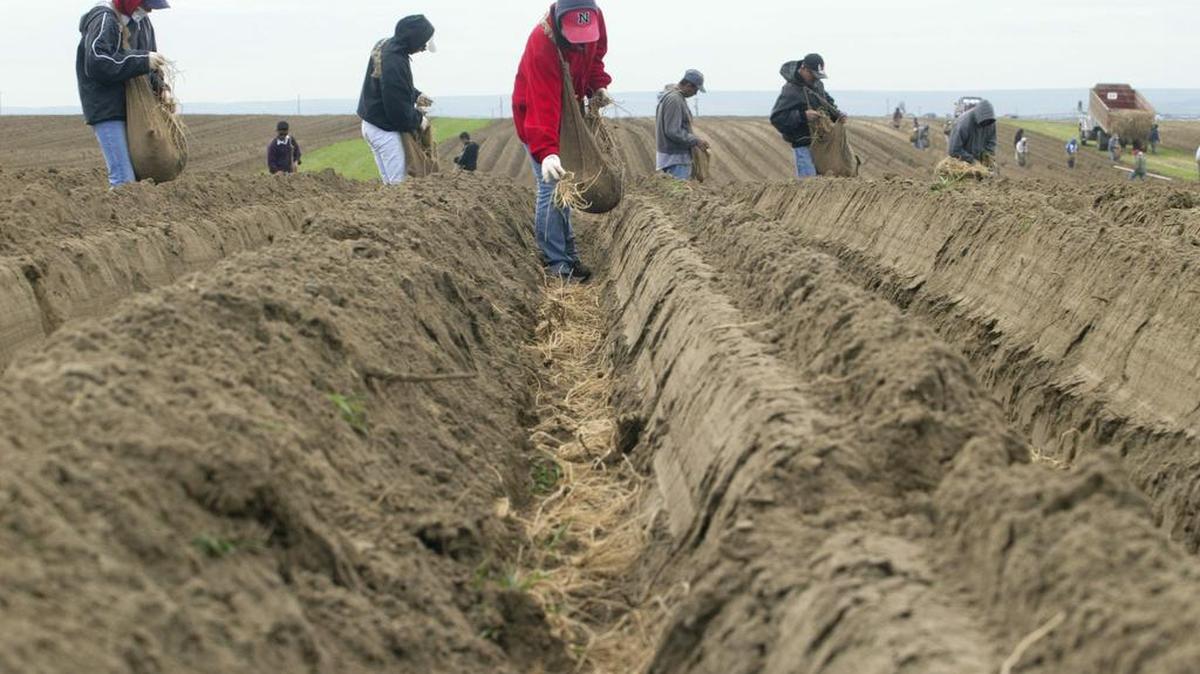 The Tri-Cities Immigrant Coalition plans a public forum on immigration, farm labor, the economy and related issues on Jan. 23, 7 p.m., at the Benton PUD Auditorium in Kennewick.