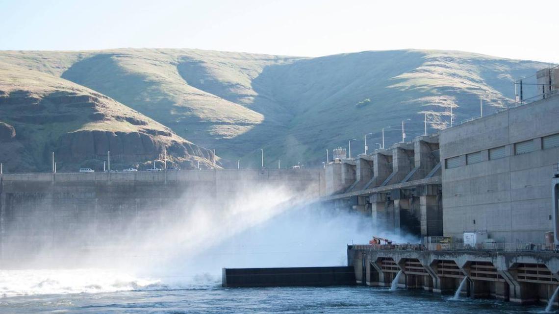 Lower Granite Dam near Pomeroy, Wash., is one of four lower Snake River dams covered by a court-ordered environmental study. The study is looking at removing or breaching the four hydropower dams as one option to improve salmon runs.