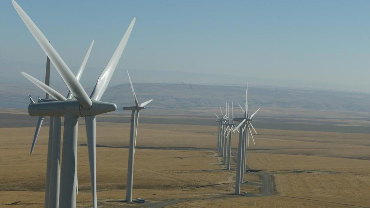 A field of 200-foot-tall wind turbines make up the Nine Canyon Wind Project operated by Energy Northwest near the Tri-Cities.