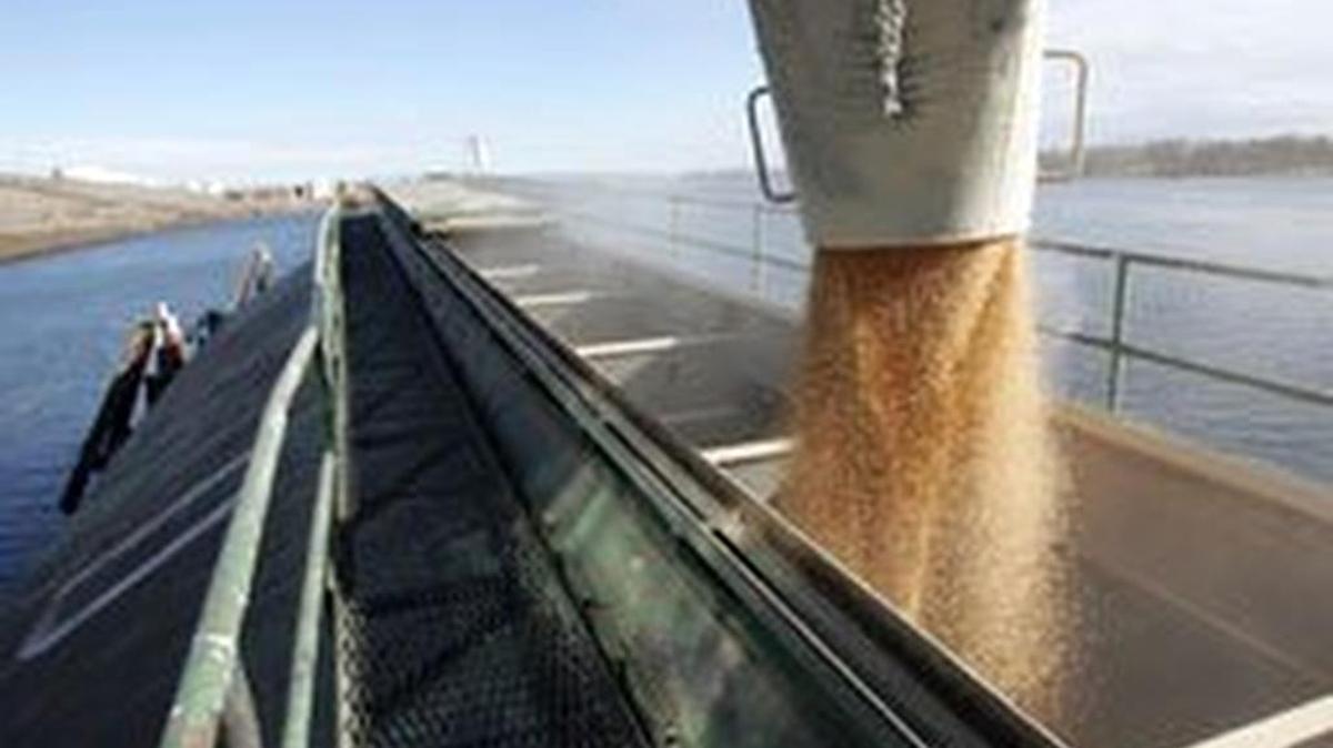 Wheat pours into a 90,000-bushel barge moored on the Snake River alongside Tri-Cities Grain in Pasco. If we did not have the Snake River dams, there would be no more barging and we would have to find another way to ship 10 million tons of cargo every year, according to Port of Pasco officials.