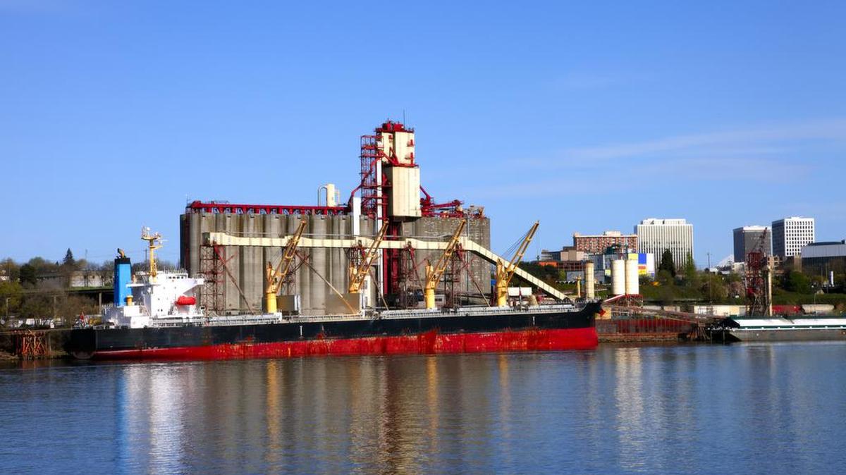 A bulk freighter has a carrying capacity of 2.4 million bushels. Approximately 90 percent of Washington’s soft white wheat is exported to countries throughout the world, primarily to Pacific Rim countries like Japan and The Philippines.