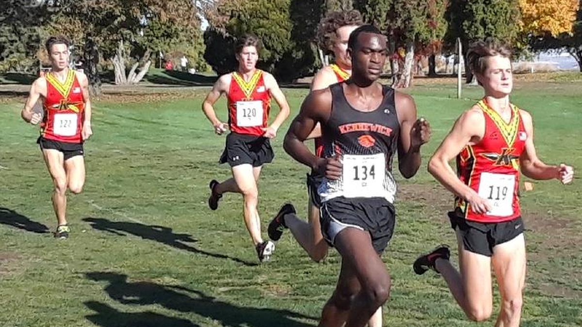 The Kamiakin boys, defending state cross country champions in the Class 3A race, figure to have the inside track on a repeat performance at Saturday’s state championships at Sun Willows GC in Pasco. Also, Kennewick’s Johan Correra (134) should join the Braves team at the front of the pack.