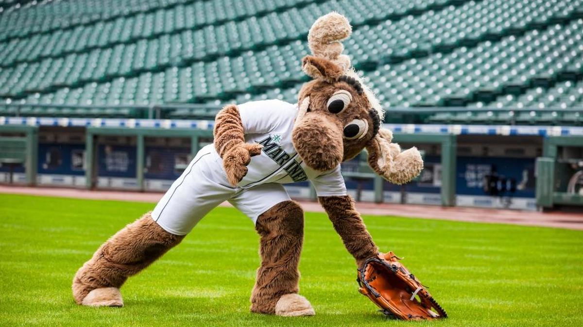 The Mariner Moose will be part of the Seattle Mariners Caravan when it rolls into the Tri-Cities on Friday.