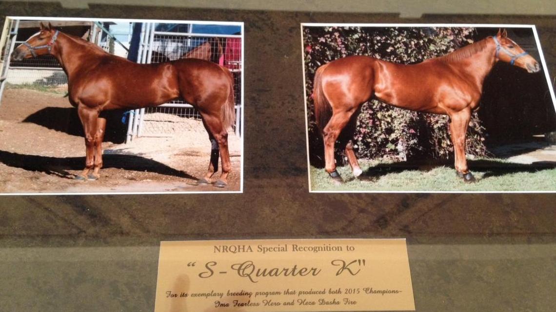 Ima Fearless Hero and Heza Dasha Fire won American Quarter Horse Association awards for their success last year at Los Alamitos. They are owned by Kennewick’s Don and Kathy Meneely.