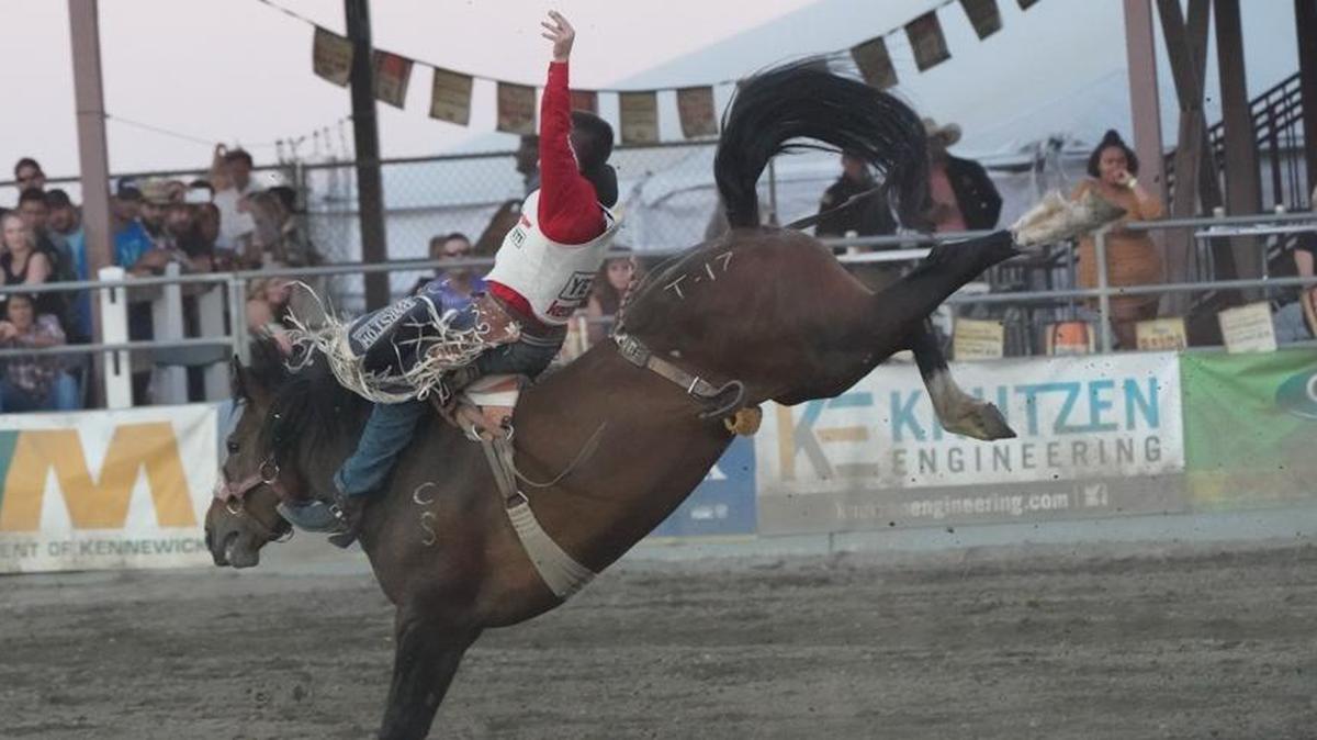 The Horse Heaven Round-Up won the PRCA’s Remuda Award for the best and most consistent pen of bucking horses. Most of this year’s rough stock was provide by Keith Marrington from the Calgary Stampede.