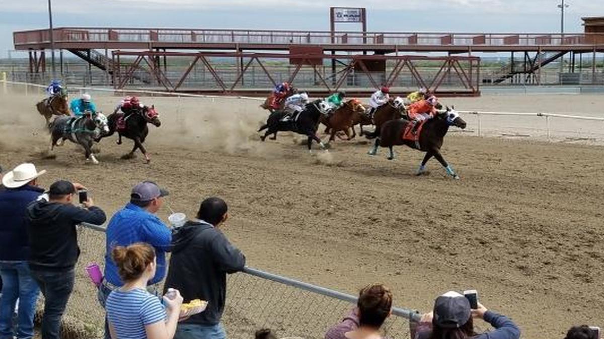 Ub an Okie (7) leads the field down the back stretch in the opening race of the season at Sun Downs on April 22 in Kennewick. Jockeyed by Eduardo Gutierrez-Sosa, the long-shot Ub an Okie won the 350-yard, $1,700 allowance race and paid $33.40 on a $2 win bet.