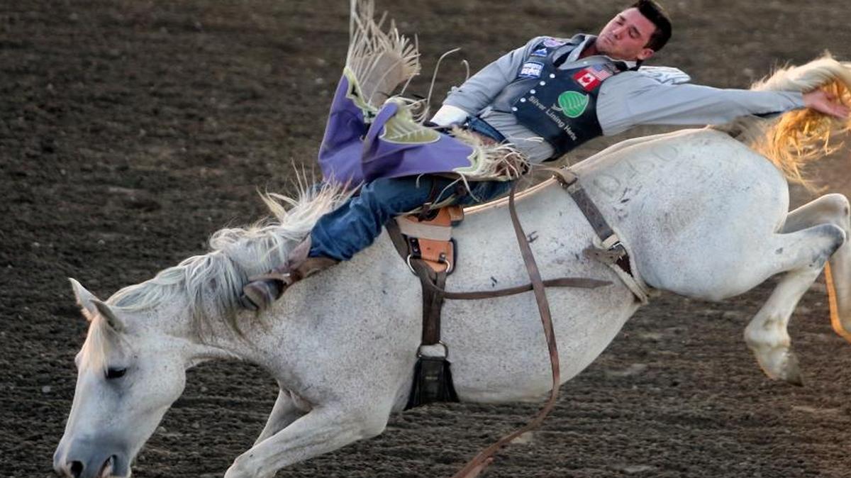 Bareback rider Caleb Bennett of the ProRodeo Gear team holds on during the Champions Challenge on Tuesday night at the Benton County Fairgrounds in Kennewick. The event was not over when the Herald went to press. For photos and more coverage of the challenge, go to www.tricityherald.com.