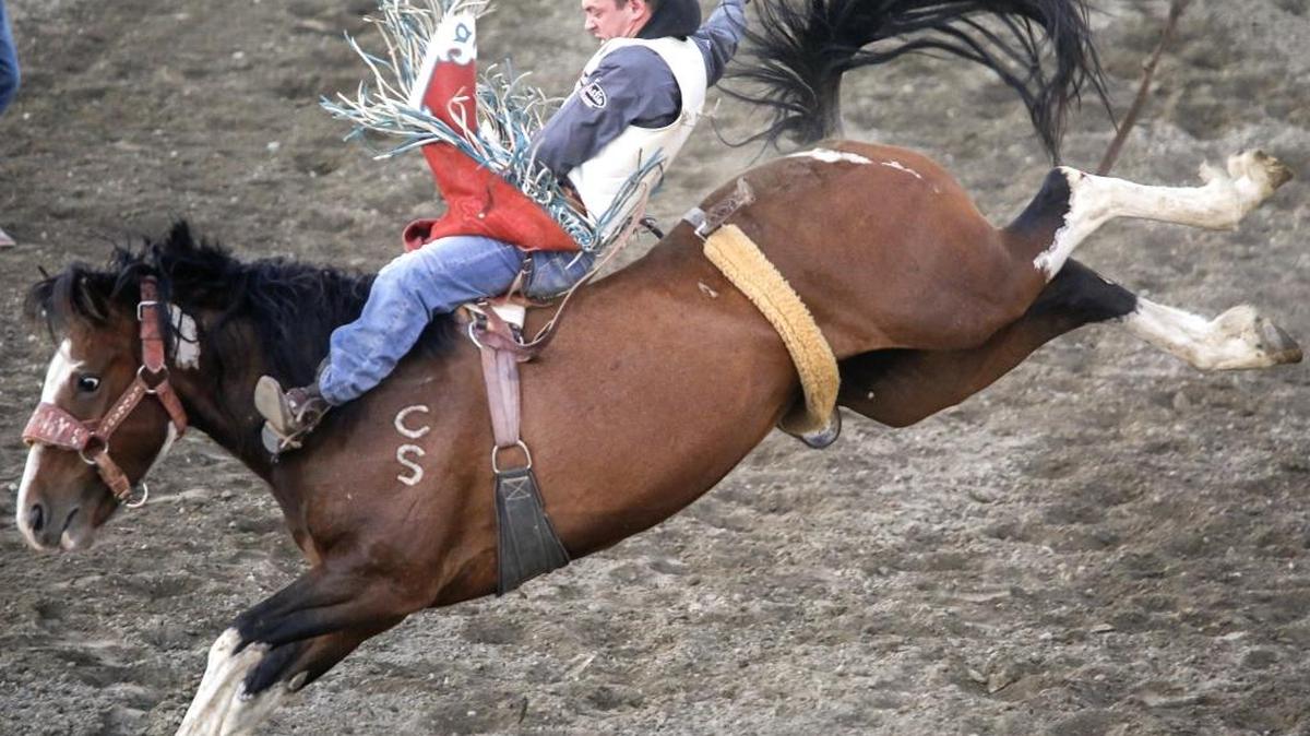 Tim O’Connell of Zwingle, Iowa, holds onto his horse, Yipee Kibitz while competing in the bareback finals at the Horse Heaven Round-Up on Saturday in Kennewick. O’Connell scored 88 points and won the event with a score of 171 on two rides.