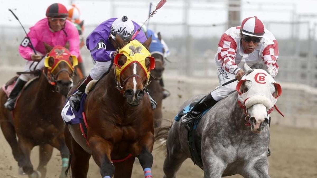 Quematierras, center, with Connie Doll aboard, races ahead of One Runaway Opener and jockey Felimon Alvarado to finish first in the 350-yards Quarter Horse Allowance during Saturday’s opening day of Sun Downs’ six-event meet at the Benton County Fairgrounds in Kennewick. The meet continues Sunday and for the next two weekends, with post times at 1 p.m. See a video at www.tricityherald.com.