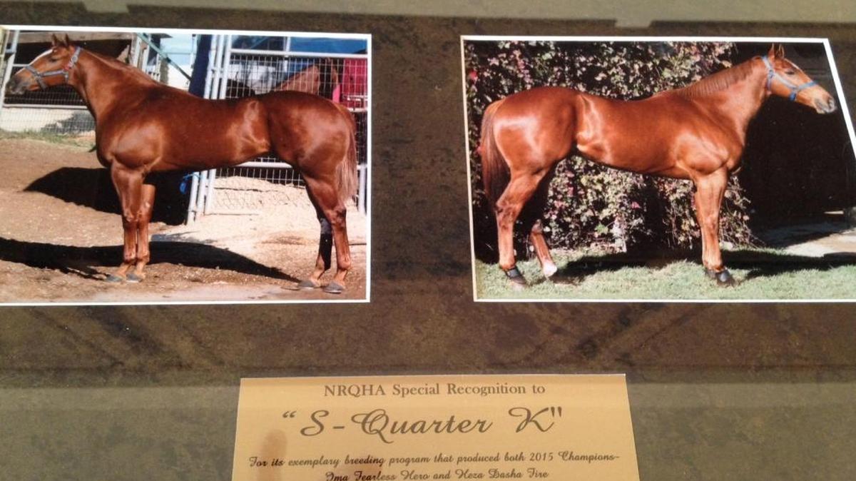 Ima Fearless Hero and Heza Dasha Fire won American Quarter Horse Association awards for their success last year at Los Alamitos. They are owned by Kennewick’s Don and Kathy Meneely.