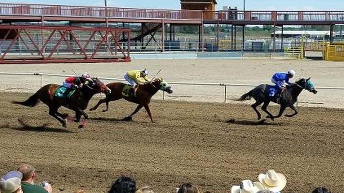 Surfinatthebar (3) leads the field to the finish line in the fourth race Sunday, April 30, at Sun Downs in Kennewick. The five-year-old mare is again in the No. 3 post for Sunday’s eighth race, a four furlong, $3,200 claiming race.