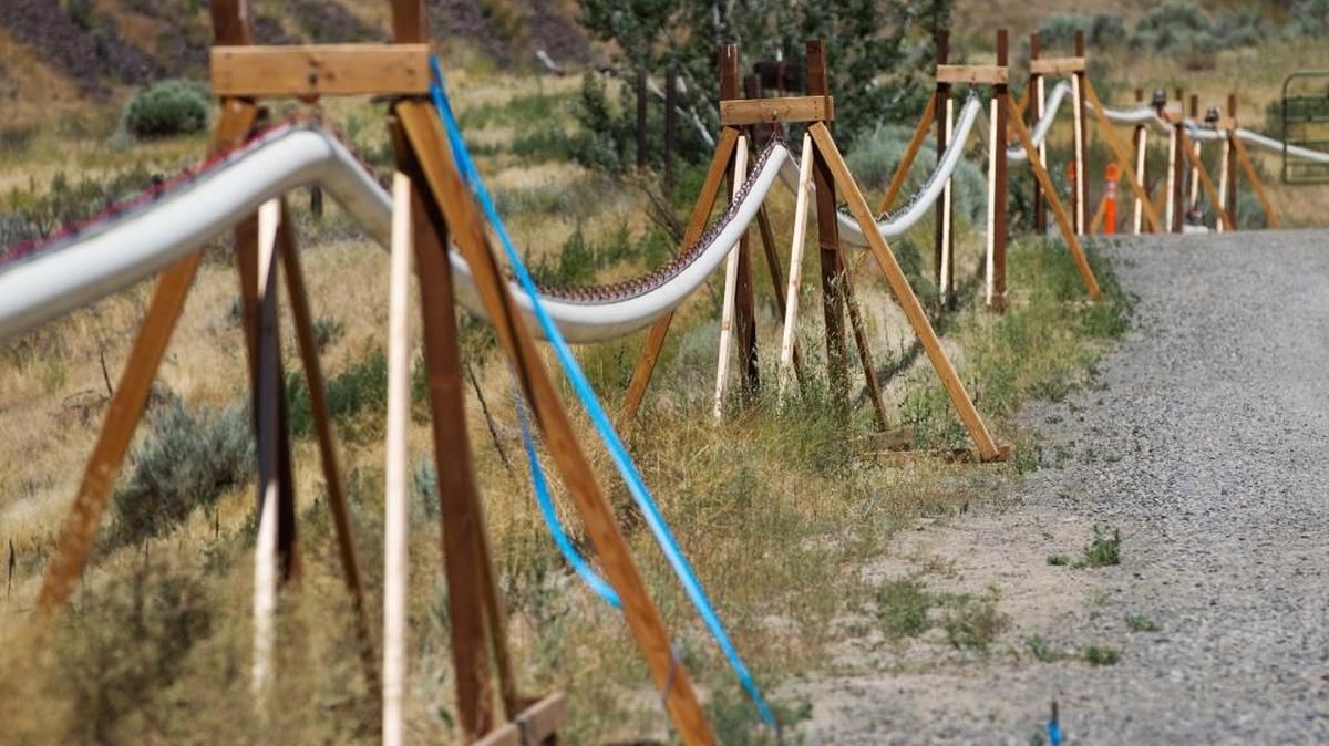 A “Salmon Cannon” is a transport system that consists of simple, inexpensive construction elements compared with traditional fish ladders. A flexible sleeve supported by hooks and cable allows for quick transport of fish through the system.