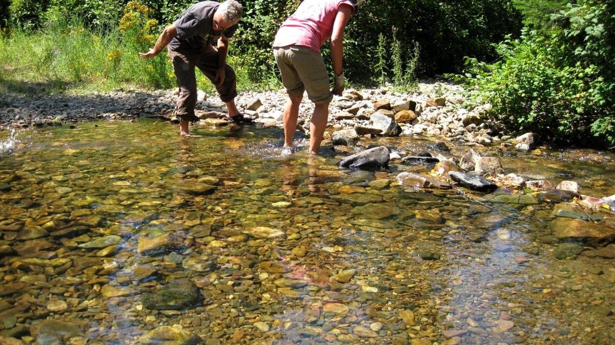 Spokane Mountaineers trail maintenance volunteers remove rocks that had been stacked into a dam to form a pool. The recreational project also blocks fish passage on Marie Creek in the Idaho Panhandle National forests.