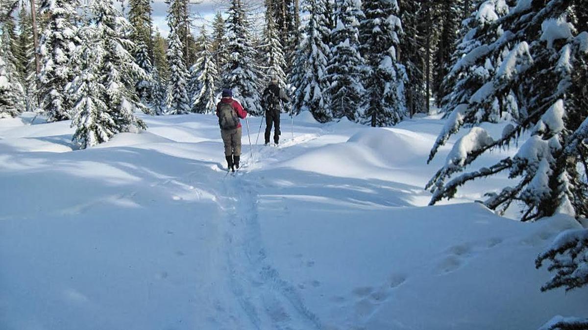 InterMountain Alpine Club members cross country ski across the snow on a recent outing.