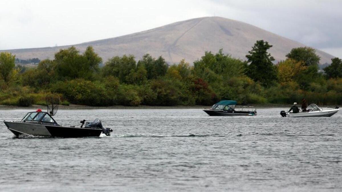 Boaters spent a rainy morning fishing for fall chinook salmon Tuesday on the Columbia River off Chiawana Park in Pasco. The weather will clear up for the rest of this week, with today and Sept. 8 expected to be sunny with highs near 80, according to the National Weather Service.