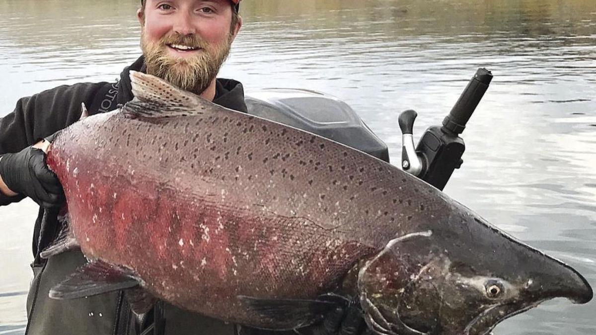 John Plughoff holds up a fall chinook he caught at the Hanford Reach. The big salmon is showing its spawning colors, which will turn from bright silver to tones of red and dark gray.