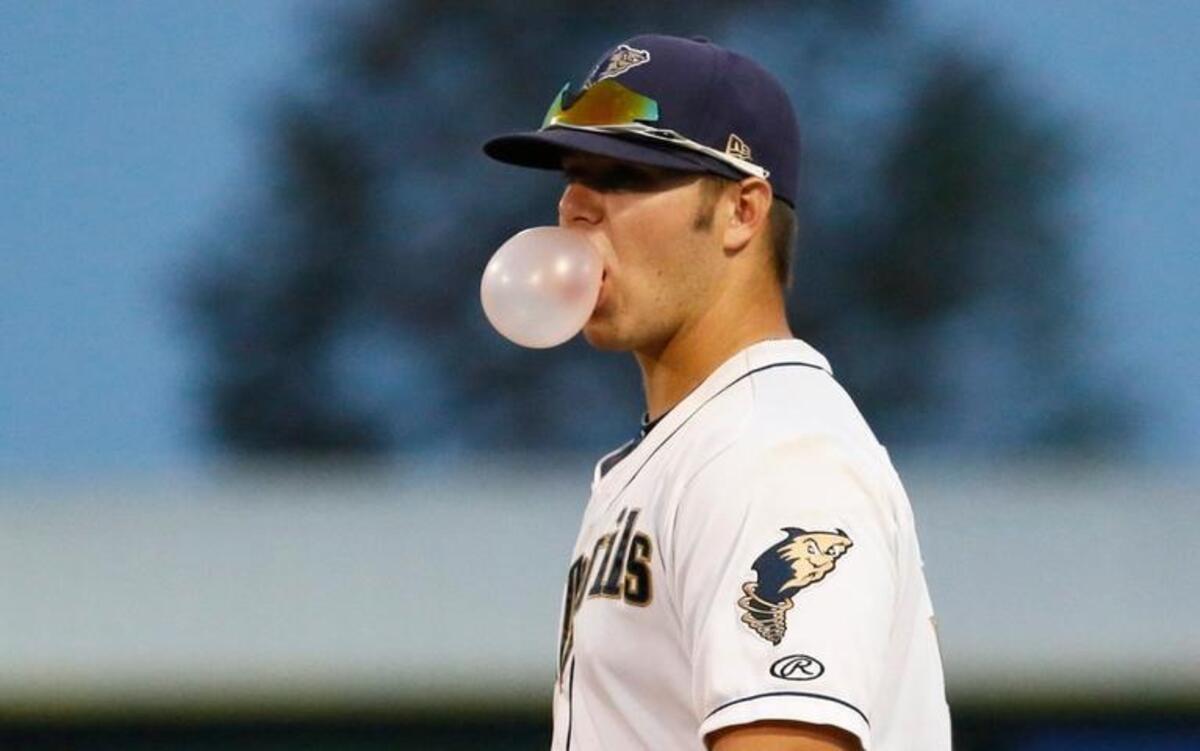 
Tri-City Dust Devils first baseman Ty France has enjoyed a productive first season in the Northwest League, where his college coach, Tony Gwynn, started his career in 1981.
